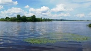 В День Ивана Купалы папоротник-цветок