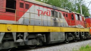 Громкий тифон!! Тепловоз ЧМЭ3-2135 с перегоняемым ЧМЭ3-2566