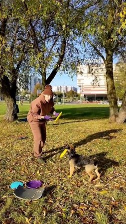 БТ Грэм - каскад из бабочек, пробы