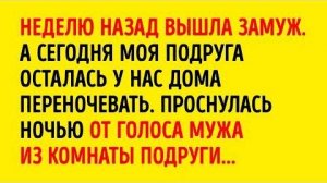 15 Историй, Которые Заставят Вас Полюбить Жизнь