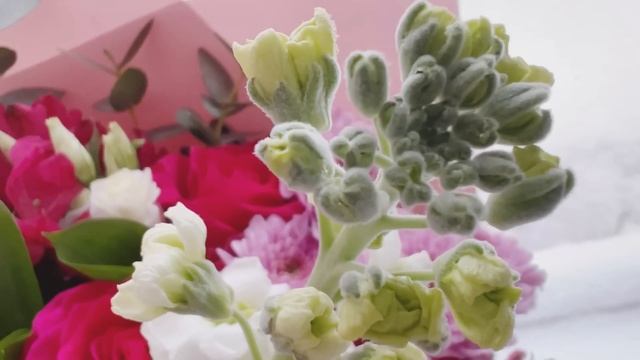 Покрасила канвурассматриваем продвижения и считаем крестики. смотреть онлайн