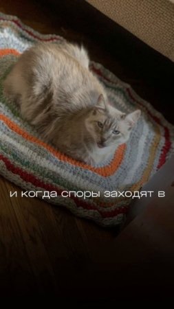 кажется моему коту этот голос не подходит🤣