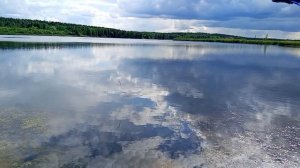 Пригородный пруд кишит карасями .