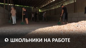 Как в Ставропольском крае трудоустраивают подростков летом?