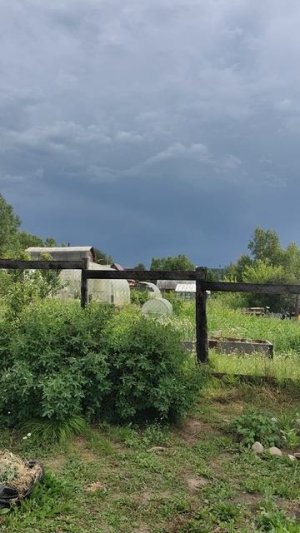 7 июля 2025 года, дача, тучи, лето