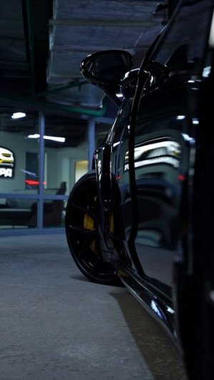 Доводчики дверей на Porsche Panamera