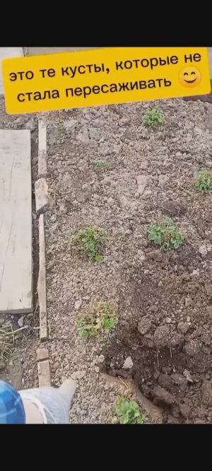 Работы на участке.