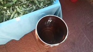 Заготовка иван-чая. 🤓🌱🍵👍