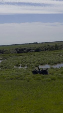 Вездеходы на шинах низкого давления с независимой подвеской