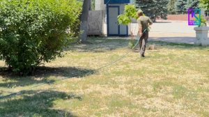 Цветочные клумбы в Керчи напитывают водой
