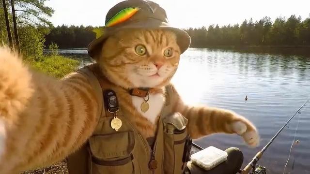 С друзьями на рыбалке 🐱