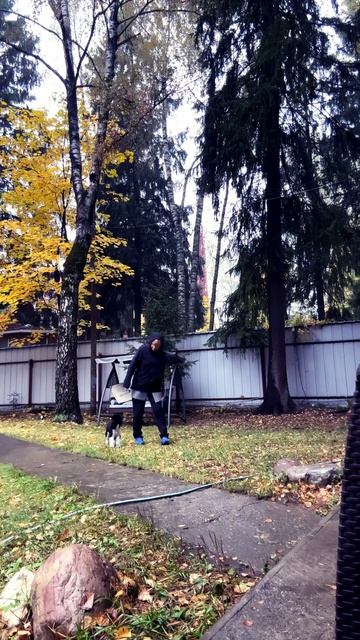 Всем здоровья! #music #love #remix #dance смотреть онлайн