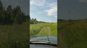 Едем на источник Ильи Пророка. Дивеево😇