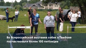 Во Всероссийской выставке собак в Тамбове поучаствовали более 100 питомцев