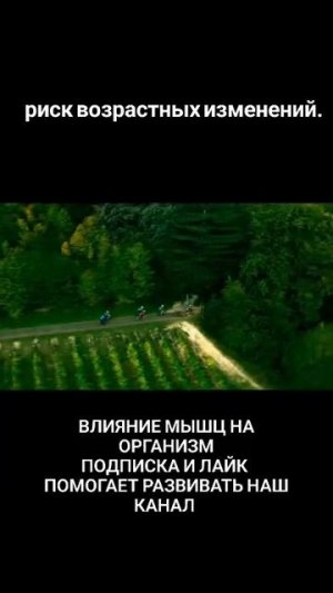 1000008230.mp4