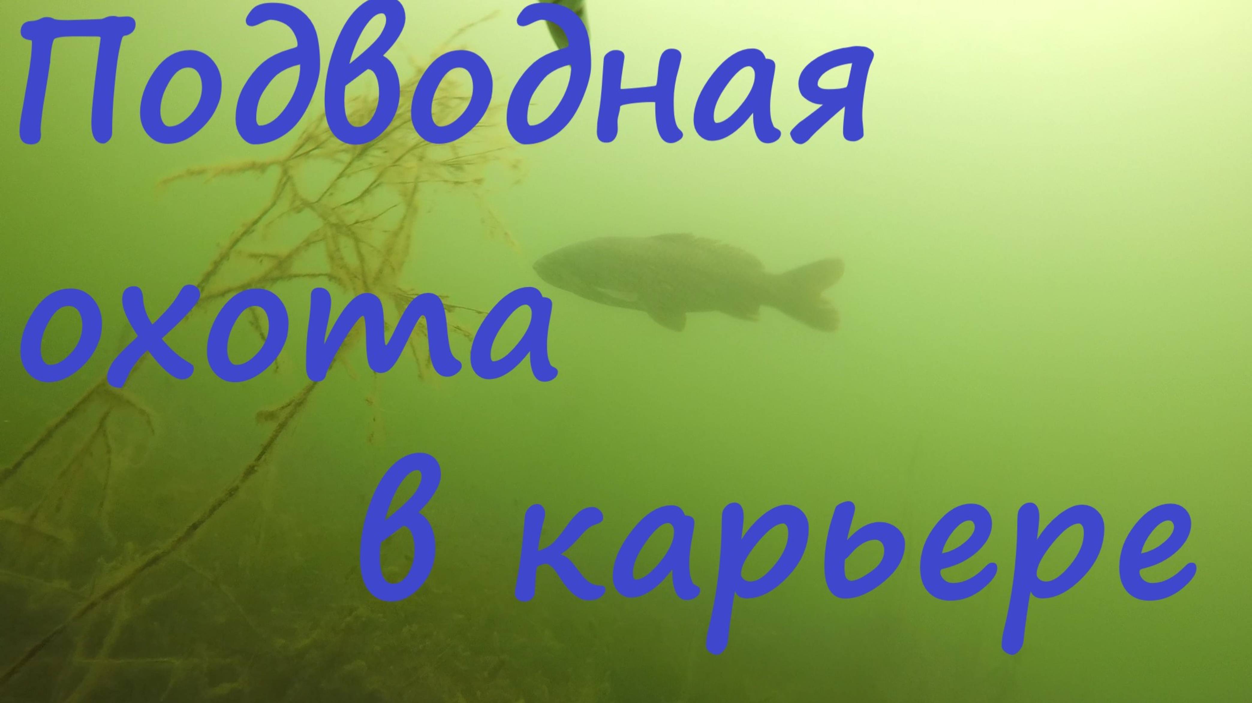 Подводная охота в карьере смотреть онлайн