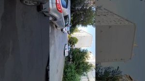 трафик