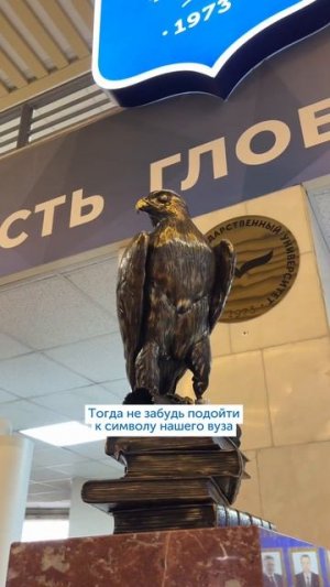 К нашему соколу – значит на удачу!