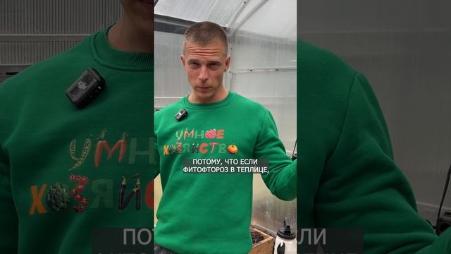 КАК ЛЕЧИТЬ ТОМАТЫ? 🍅