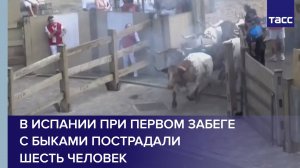 В Испании при первом забеге с быками пострадали шесть человек
