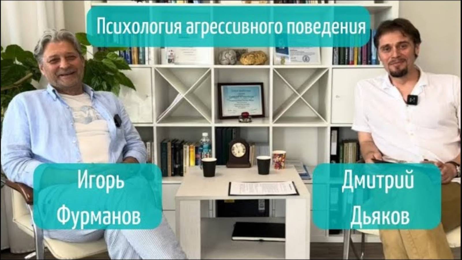 Психология агрессивного поведения. Игорь Фурманов и Дмитрий Дьяков