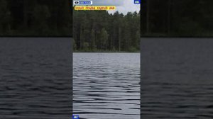 Тихий понедельник 07.07.2025 #юныйпрадедбодрыйдед