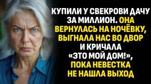 Жизненные истории. Купили у свекрови дачу за миллион. Она вернулась на ночёвку. Слушать аудиорассказ