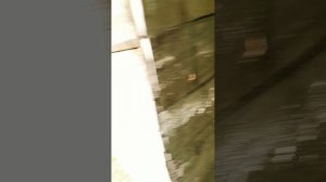 1000000797.mp4
