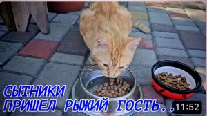 САМВЕЛ АДАМЯН,СЫТНИКИ, К НАМ ПРИШЕЛ РЫЖИЙ ГОСТЬ..