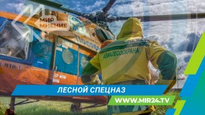Авиалесоохрана: с чего все начиналось и как сегодня борются с лесными пожарами?