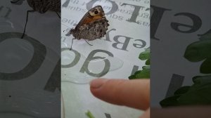 Поездка в Родные Края🥰🌞👨👩👧ДЕНЬ 14🏞Таисия, мама и папа в эфире ❤️ ИЮНЬ25
