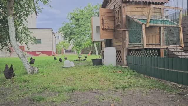 Жизнь в Деревне. Хуторяне в гостях...