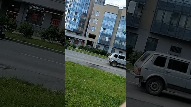 Перкеле Саттана (по-фински), как тут живут за забором?