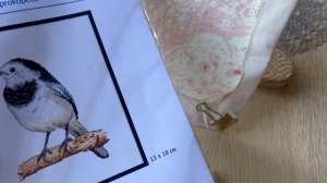 Тема трясогузки раскрыта!Один процесс с самого начала и до финиша!