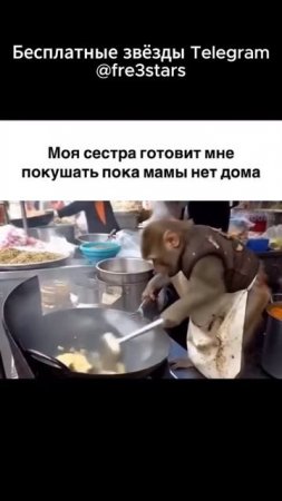@fre3stars Бесплатные звёзды и подарки в телеграм #мемы #смешно #мем #угар #тг #телеграм #telegram #