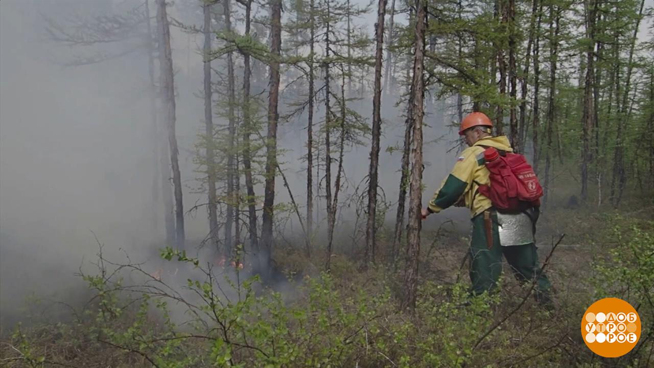 Воздушные огнеборцы. Доброе утро. Фрагмент выпуска от 07.07.2025