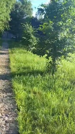 Детокс и перезагрузка