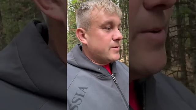 Животные приколы и не только