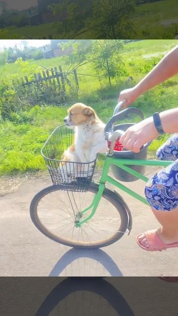 Скорее бы лето ☀️
