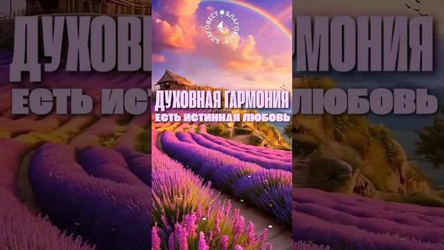 #БлагоВест ✴ ДУХОВНАЯ ГАРМОНИЯ ЕСТЬ ИСТИННАЯ ЛЮБОВЬ