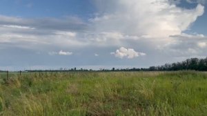 «Долина роз» х. Осечки, Краснодарский край.mp4