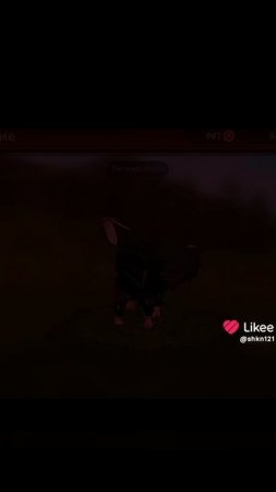 1000001562.mp4