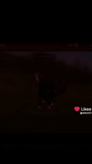 1000001562.mp4