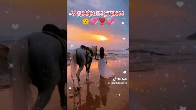 Доброе Утро