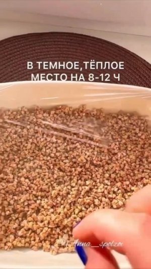 КАК ПРОРАСТИТЬ ЗЕЛЁНУЮ ГРЕЧКУ