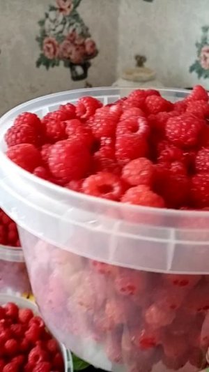 VID_20250707_110419.mp4