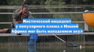 Мистический инцидент у популярного пляжа в Южной Африке мог быть нападением акул