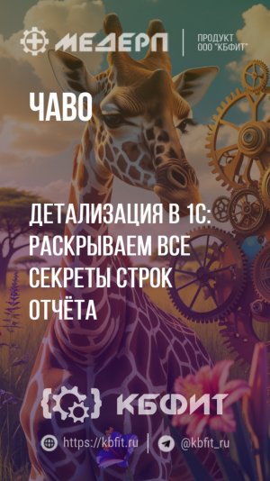 КБФИТ: МЕДЕРП. ЧАВО: Детализация в 1С: раскрываем все секреты строк отчёта