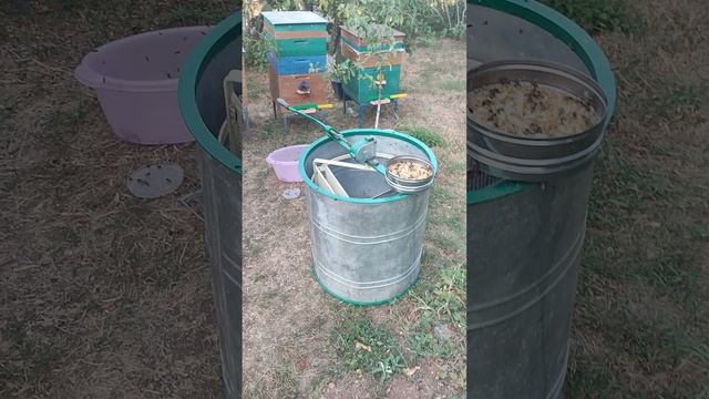 Просушка магазинных рамок, медогонки от меда, с помощью пчел.