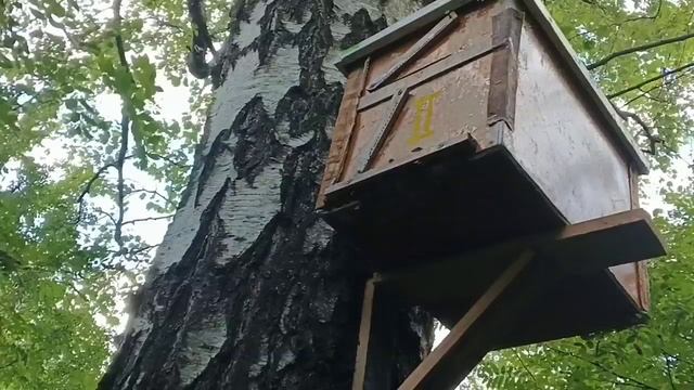 Проверка ловушек 2025